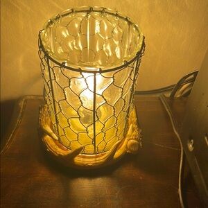 Rustic antler Glass and Wire light